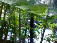 8 - Mandalay - Sagaing - Monywa (3)